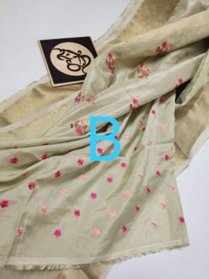Pure moonga silk with kanchi border (2)
