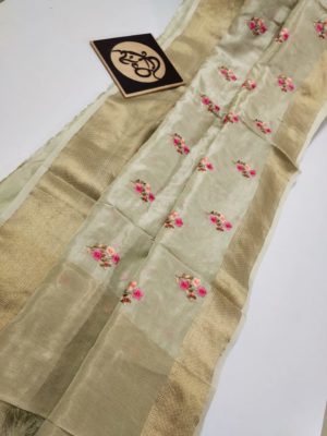 Pure moonga silk with kanchi border (4)