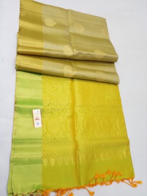 pure kanchipuram handloom pattu silk sarees (67)