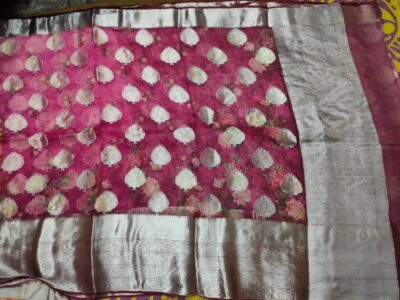 Banaras Pure Kora Silk With Motifs (13)