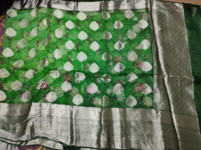 Banaras Pure Kora Silk With Motifs (15)
