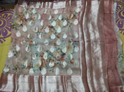Banaras Pure Kora Silk With Motifs (2)