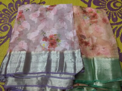Banaras Pure Kora Silk With Motifs (7)