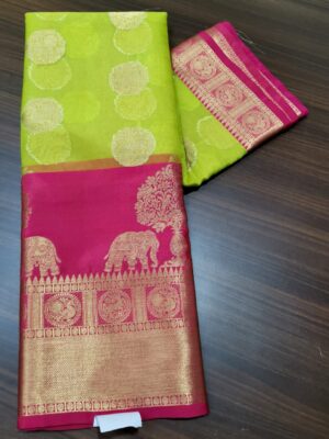 Latest Kanchi Organza Sarees With Blouse (14)