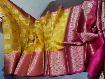 Latest Kanchi Organza Sarees With Blouse (20)