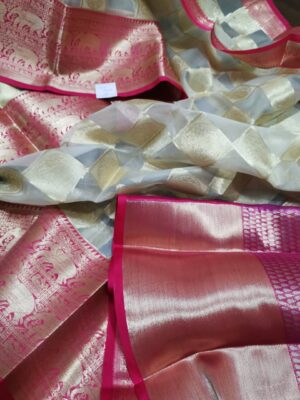 Latest Kanchi Organza Sarees With Blouse (29)