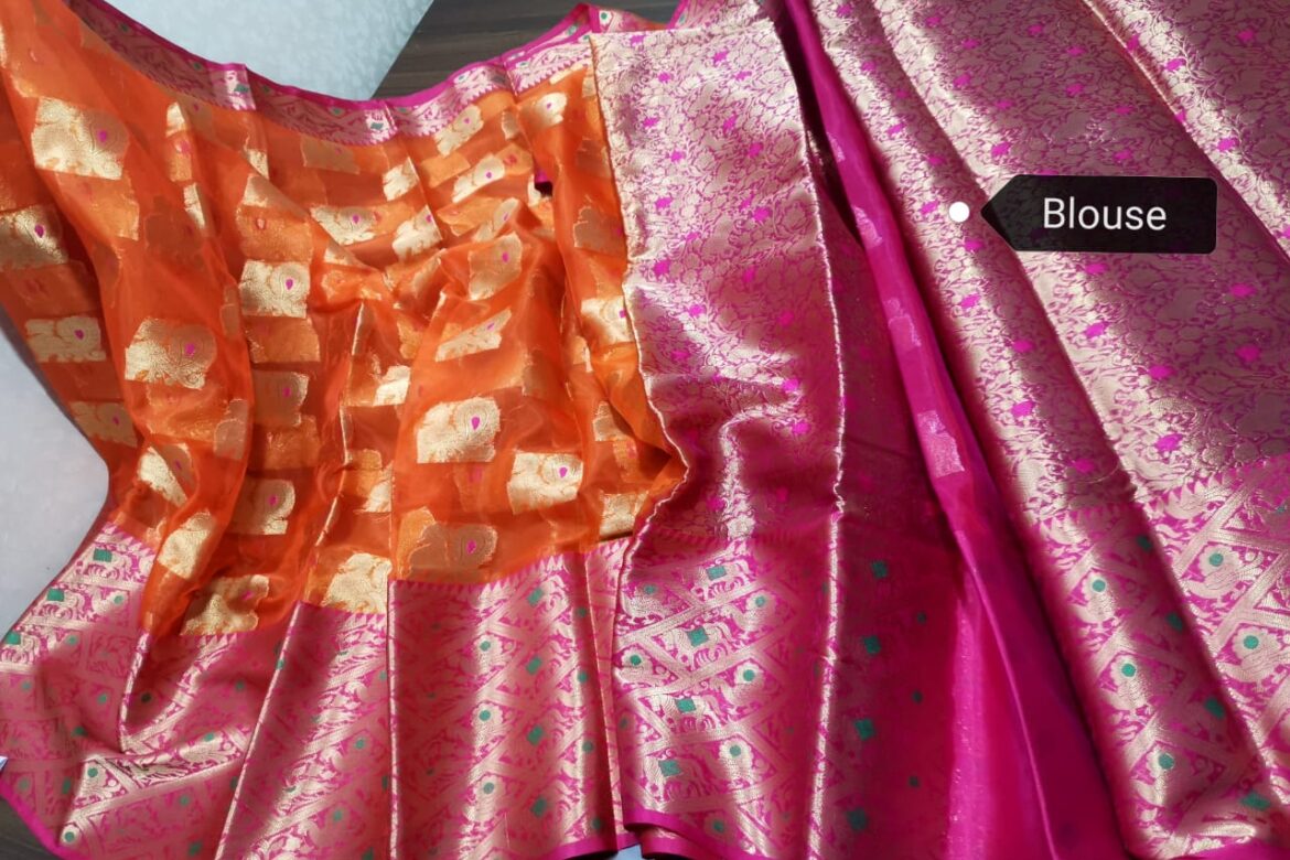Latest Kanchi Organza Sarees With Blouse (32)