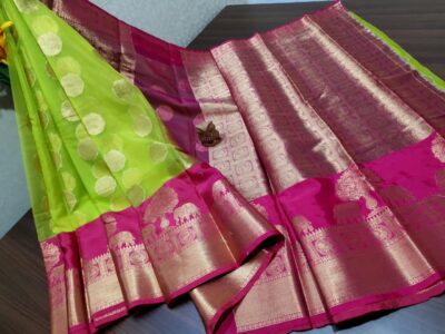 Latest Kanchi Organza Sarees With Blouse (8)