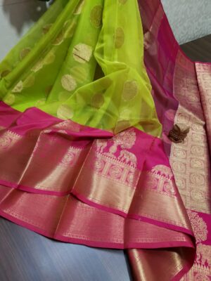 Latest Kanchi Organza Sarees With Blouse (9)