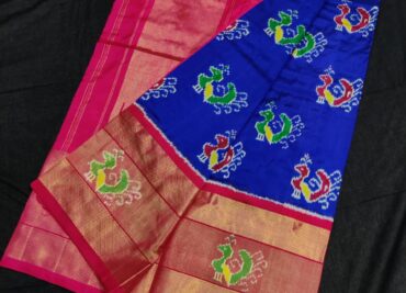 Pure Ikkath Pochampally Silk Sarees With Blouse (5)