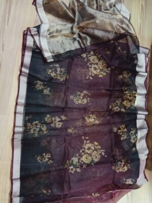 Banarasi Pure Handwoven Kora Silk (11)