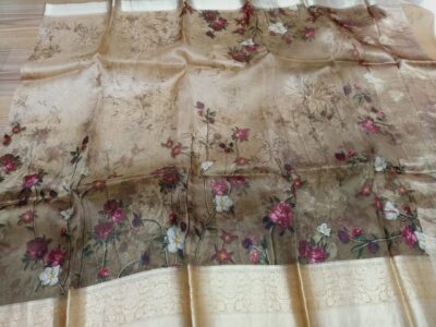Banarasi Pure Handwoven Kora Silk (13)