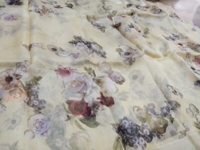 Banarasi Pure Handwoven Kora Silk (15)