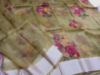 Banarasi Pure Handwoven Kora Silk (17)