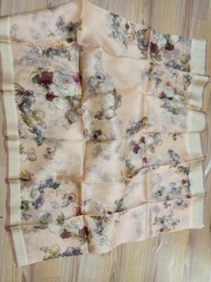 Banarasi Pure Handwoven Kora Silk (20)