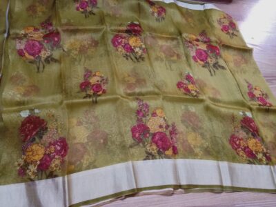 Banarasi Pure Handwoven Kora Silk (26)