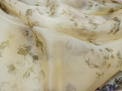 Banarasi Pure Handwoven Kora Silk (27)