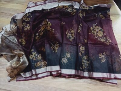 Banarasi Pure Handwoven Kora Silk (3)