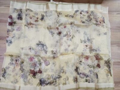 Banarasi Pure Handwoven Kora Silk (30)