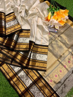Handloom Kuppadam Tissue Silk Sarees (1)
