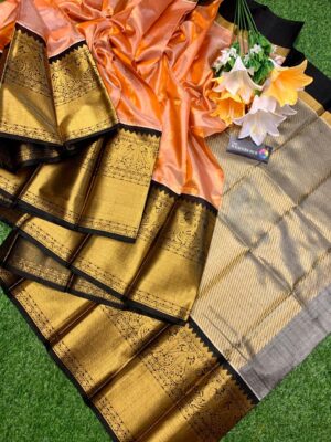 Handloom Kuppadam Tissue Silk Sarees (10)