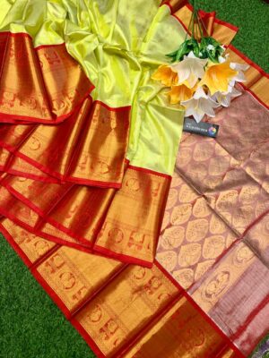 Handloom Kuppadam Tissue Silk Sarees (15)