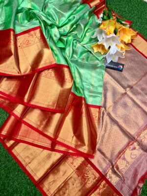Handloom Kuppadam Tissue Silk Sarees (16)