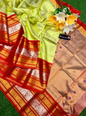 Handloom Kuppadam Tissue Silk Sarees (30)