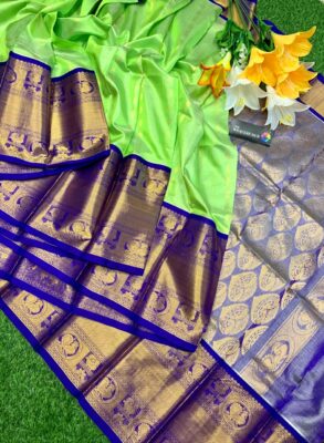 Handloom Kuppadam Tissue Silk Sarees (31)