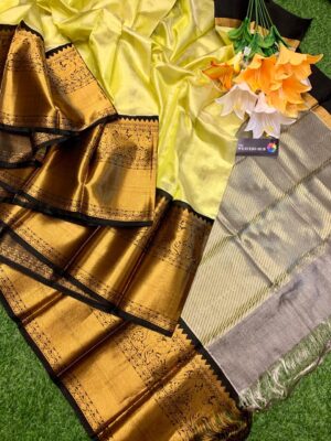 Handloom Kuppadam Tissue Silk Sarees (32)