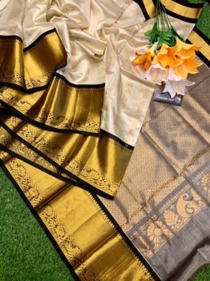 Handloom Kuppadam Tissue Silk Sarees (5)
