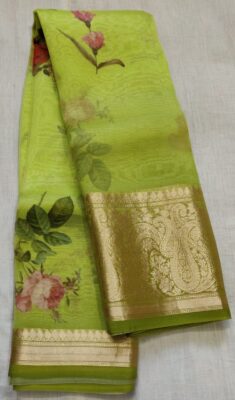 Pure Organza With Golden Border (10)