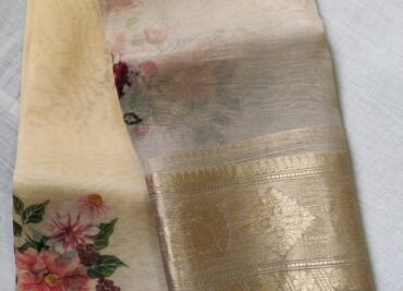 Pure Organza With Golden Border (16)