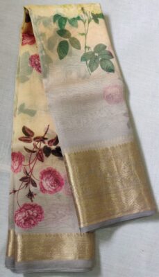 Pure Organza With Golden Border (18)