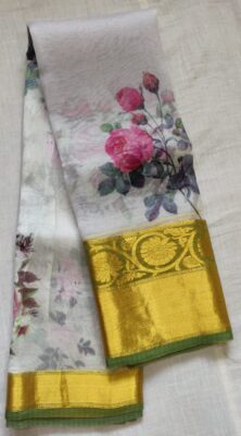 Pure Organza With Golden Border (2)