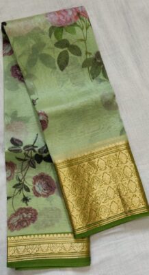Pure Organza With Golden Border (4)