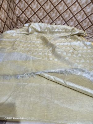 120 Count Linen Tissue Sarees (11)
