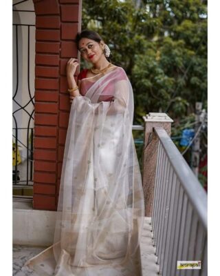Linen Silk New Design Sarees (12)