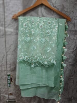 Pure Chinnon Sarees With Sequence Work (2)