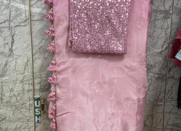 Pure Chinnon Sarees With Sequence Work (3)