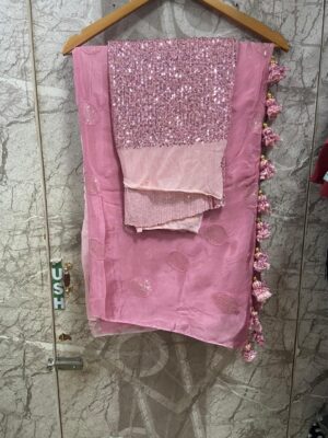 Pure Chinnon Sarees With Sequence Work (6)