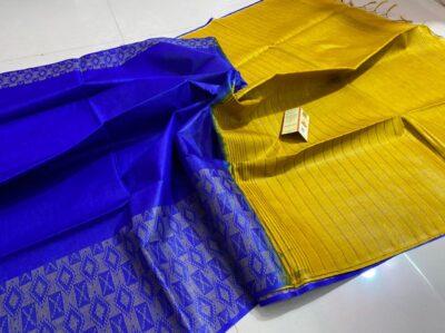 Pure Tussar Silk With Weaving Border (1)