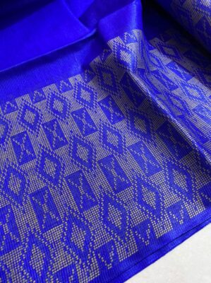 Pure Tussar Silk With Weaving Border (10)