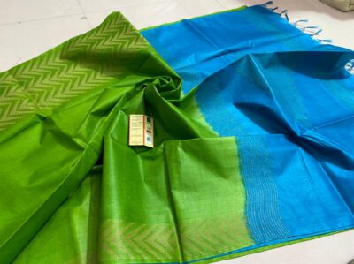 Pure Tussar Silk With Weaving Border (13)