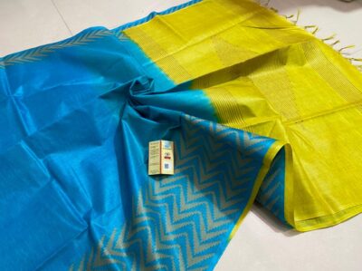 Pure Tussar Silk With Weaving Border (5)