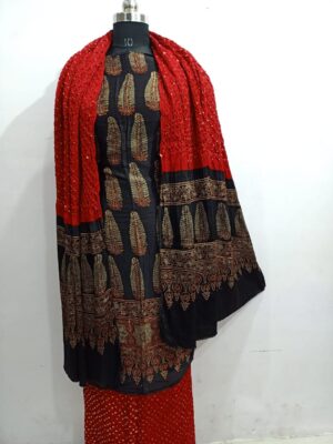 Beautiful Ajrakh Modal Silk Dresses (3)