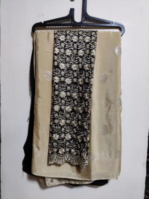 Beautiful Sequence Chinnon Sarees (11)