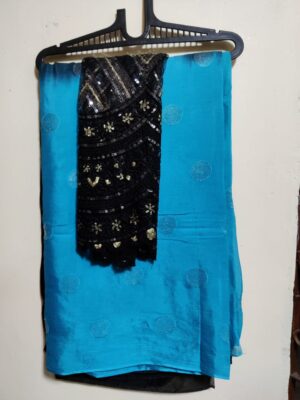 Beautiful Sequence Chinnon Sarees (7)