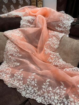 Soft Organza With Blouse (13)