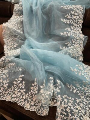 Soft Organza With Blouse (14)